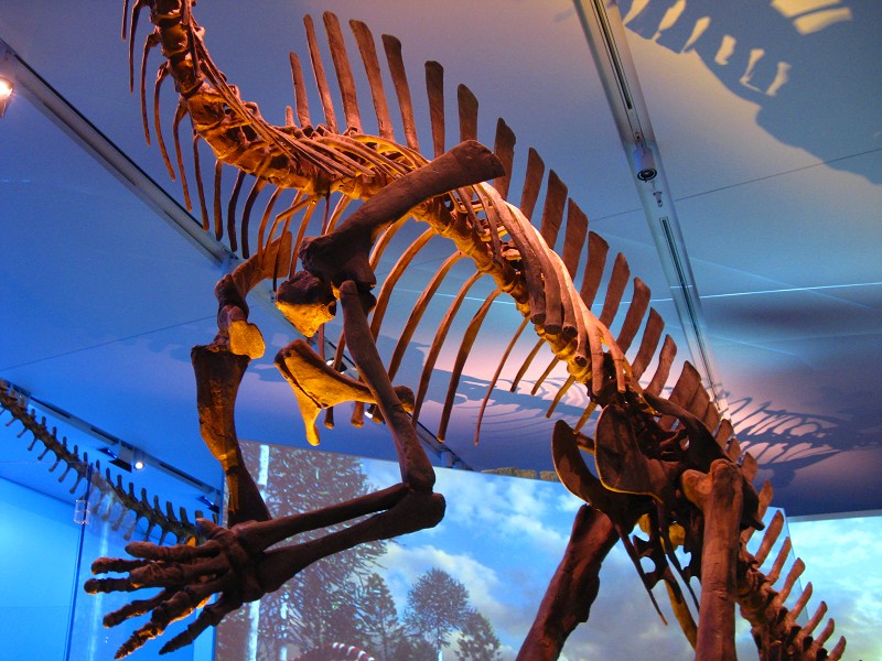 Dinosaur Ribs – Looking to God