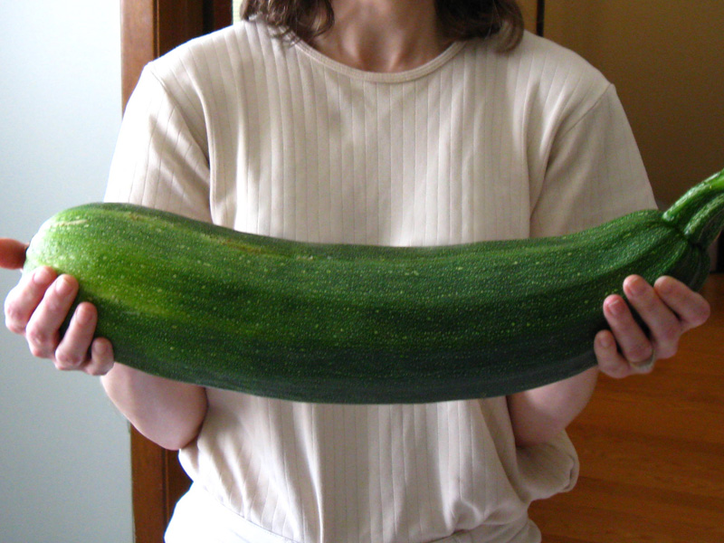 Zucchini from our garden, Aug. 2009.