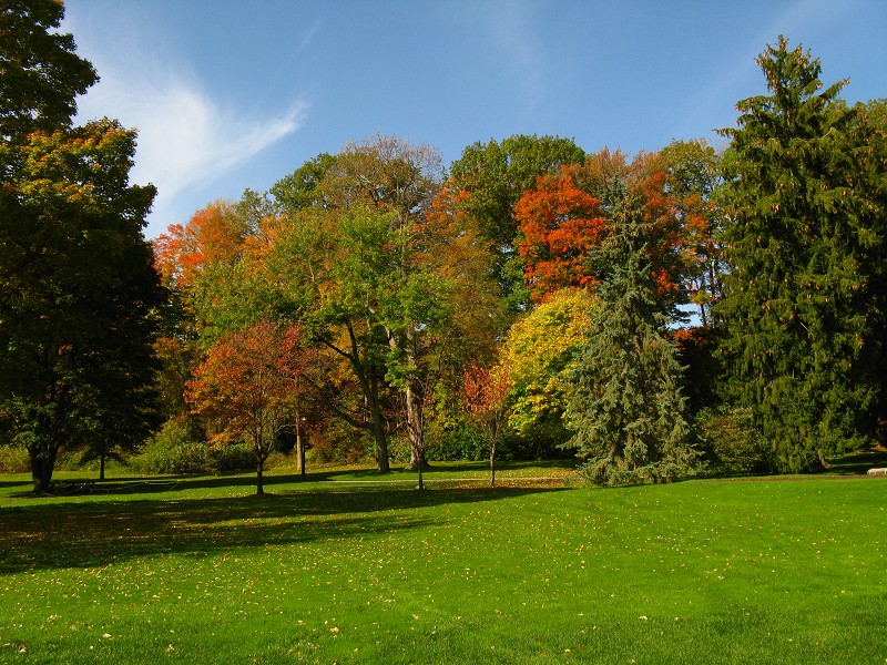 Autumn in full bloom