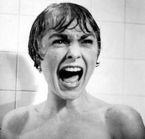 The infamous shower scene.