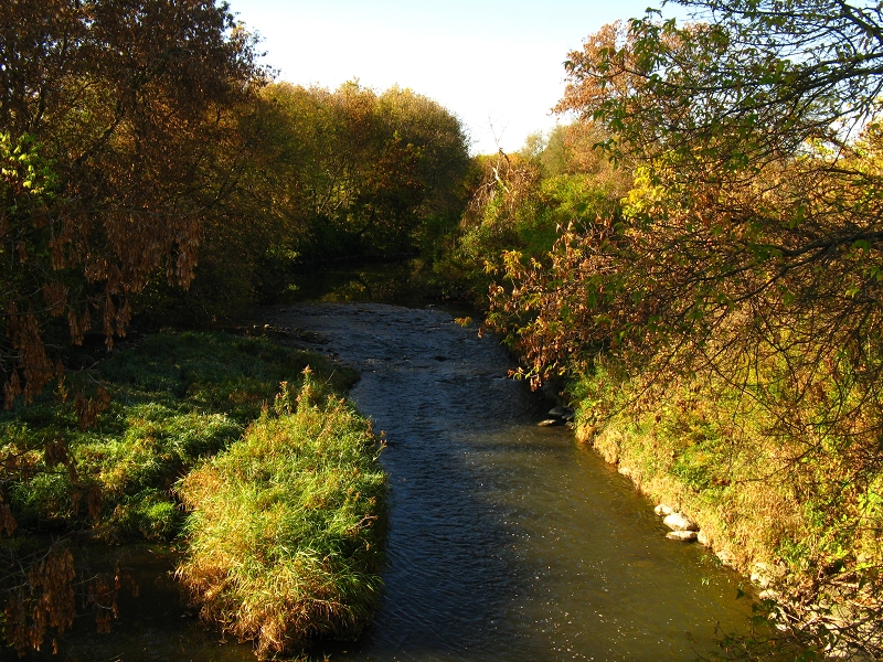 The stream by my house.