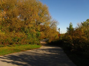 The long and winding path.