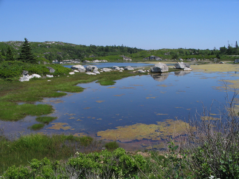 Marshes in Nova Scotia
