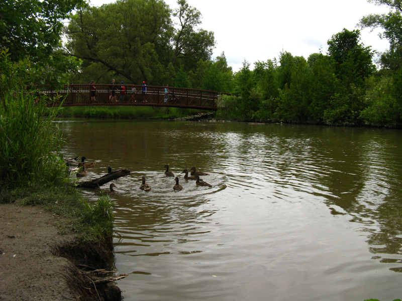 The lake in the center of our town