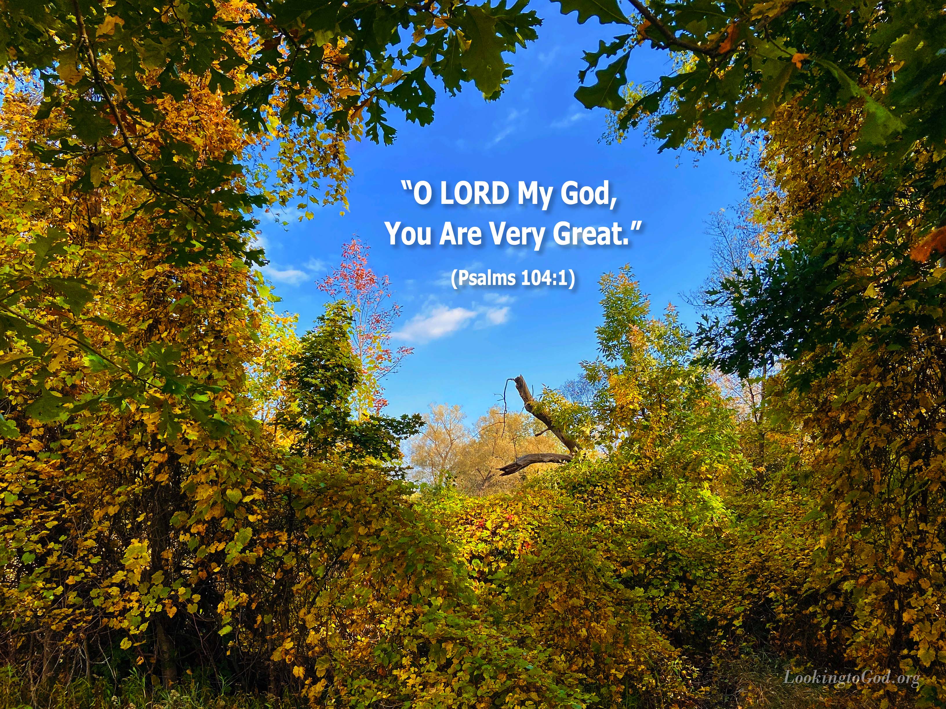 Great Are You, LORD! – Looking to God