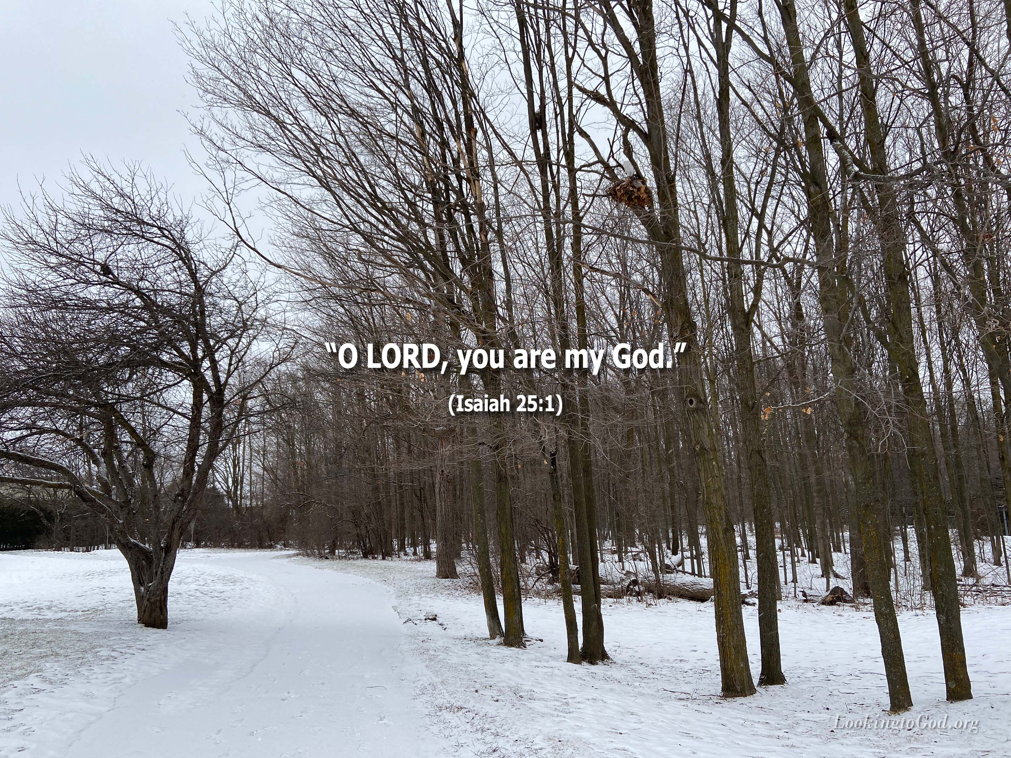O LORD, You Are My God – Looking to God