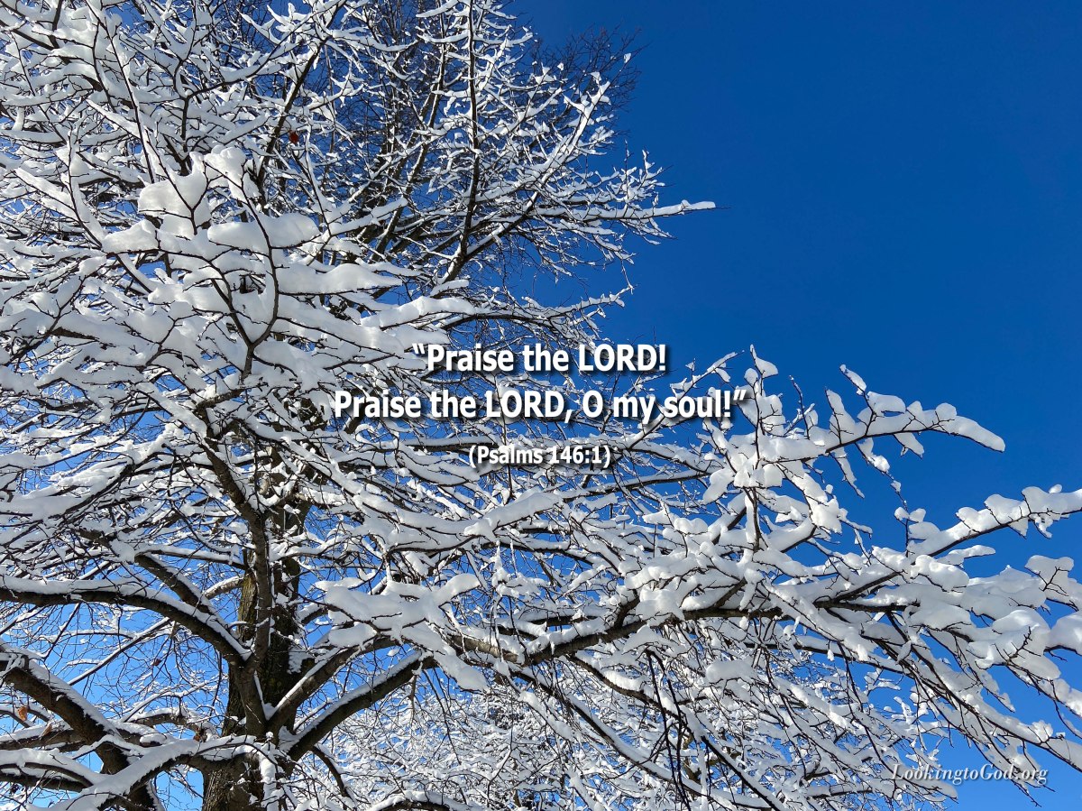 Praise the Lord Always – Looking to God
