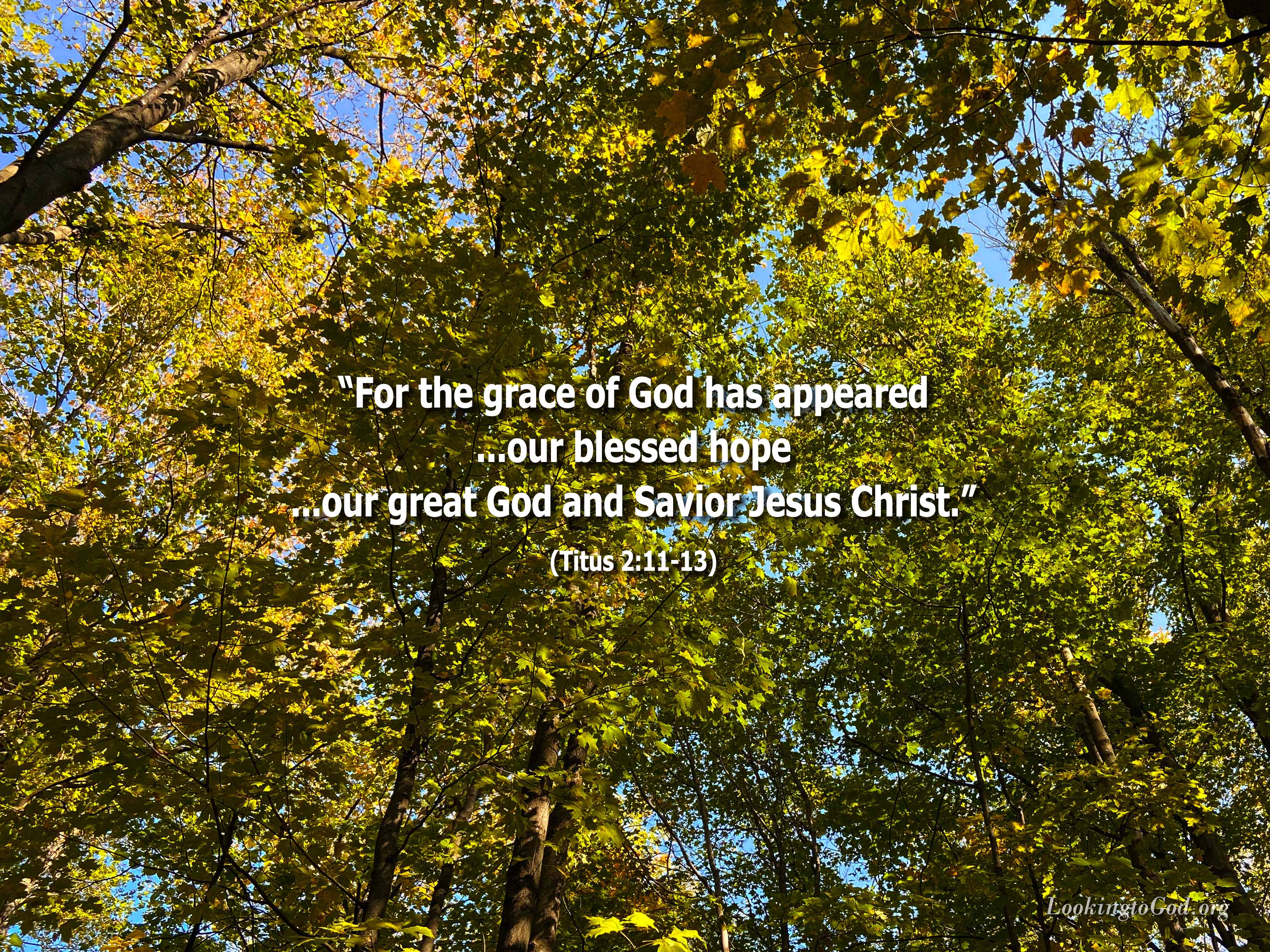 Jesus Scripture Hope Jesus Is Our Hope – Looking to God
