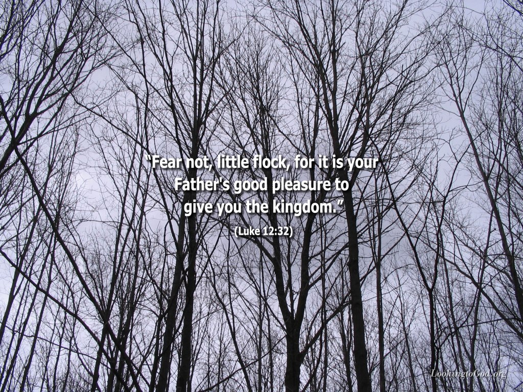 Fear Not – Looking to God
